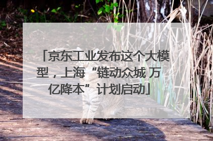 京东工业发布这个大模型，上海“链动众城 万亿降本”计划启动