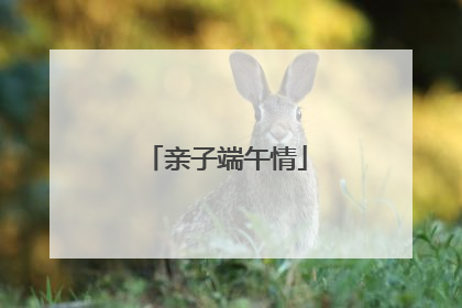 亲子端午情