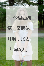 今夏西湖第一朵荷花开啦，比去年早5天