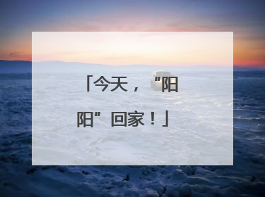 今天，“阳阳”回家！