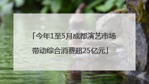 今年1至5月成都演艺市场带动综合消费超25亿元