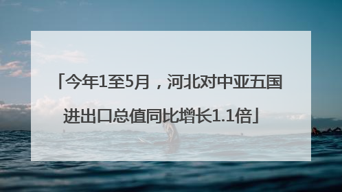 今年1至5月，河北对中亚五国进出口总值同比增长1.1倍