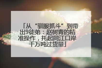 从“驯服抓斗”到带出9徒弟：赵树青的精准操作，托起同江口岸千万吨过货量