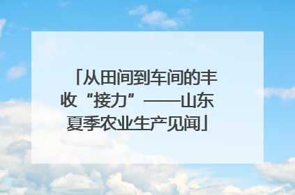 从田间到车间的丰收“接力”——山东夏季农业生产见闻