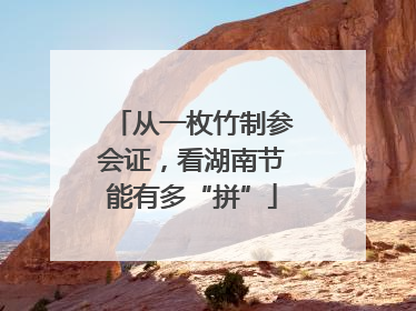从一枚竹制参会证，看湖南节能有多“拼”
