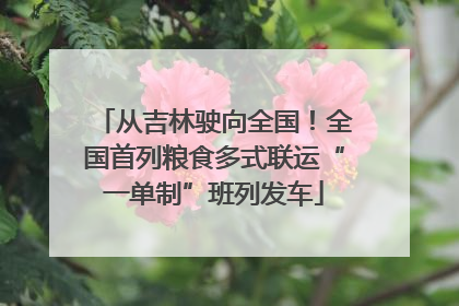 从吉林驶向全国！全国首列粮食多式联运“一单制”班列发车