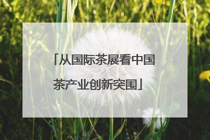 从国际茶展看中国茶产业创新突围