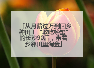 从月薪过万到回乡种田！“敢吃螃蟹”的长沙90后，带着乡邻田里淘金