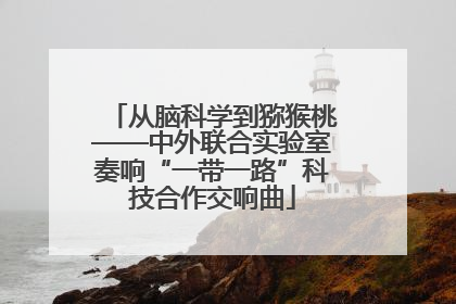 从脑科学到猕猴桃——中外联合实验室奏响“一带一路”科技合作交响曲