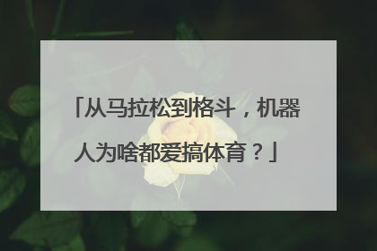 从马拉松到格斗，机器人为啥都爱搞体育？