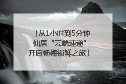 从1小时到5分钟 仙居“云端速递”开启杨梅锁鲜之旅