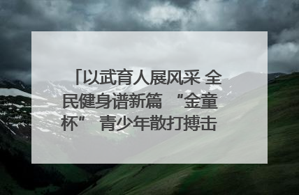 以武育人展风采 全民健身谱新篇 “金童杯” 青少年散打搏击邀请赛圆满落幕