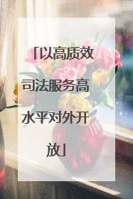 以高质效司法服务高水平对外开放
