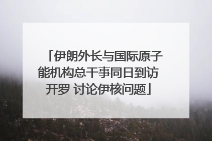 伊朗外长与国际原子能机构总干事同日到访开罗 讨论伊核问题