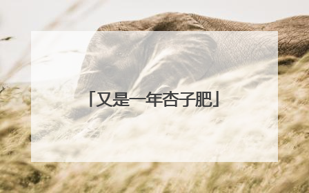 又是一年杏子肥