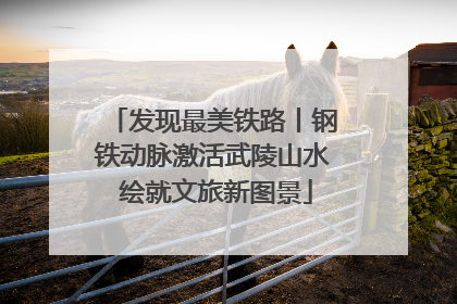 发现最美铁路丨钢铁动脉激活武陵山水 绘就文旅新图景