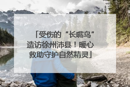 受伤的“长嘴鸟”造访徐州沛县！暖心救助守护自然精灵