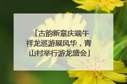 古韵新章庆端午 祥龙巡游展风华，青山村举行游龙盛会