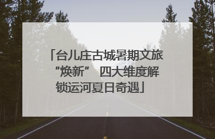 台儿庄古城暑期文旅“焕新” 四大维度解锁运河夏日奇遇