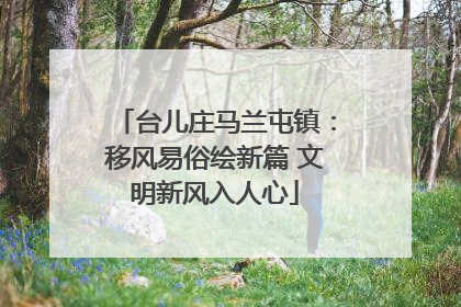 台儿庄马兰屯镇：移风易俗绘新篇 文明新风入人心
