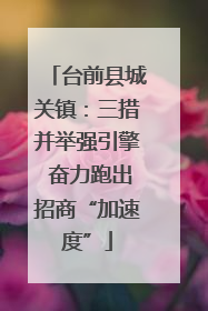 台前县城关镇：三措并举强引擎 奋力跑出招商“加速度”