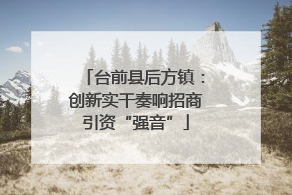 台前县后方镇：创新实干奏响招商引资“强音”
