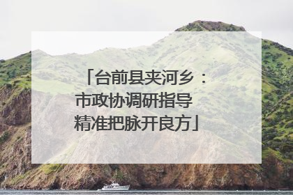 台前县夹河乡：市政协调研指导 精准把脉开良方