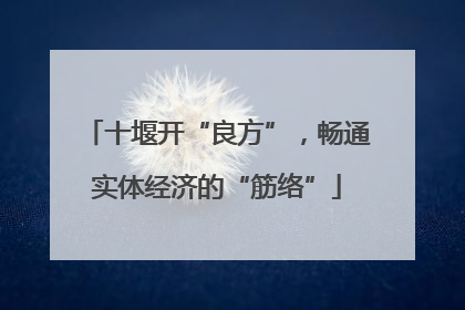 十堰开“良方”，畅通实体经济的“筋络”