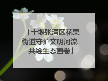 十堰张湾区花果街道守护文明河流 共绘生态画卷