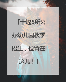 十堰5所公办幼儿园秋季招生，位置在这儿！