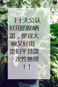 十大公认好用的防晒霜，便宜大碗又好用：贵妇平替款一次性整理！