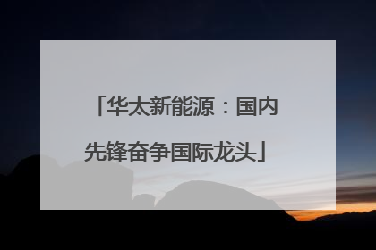 华太新能源：国内先锋奋争国际龙头
