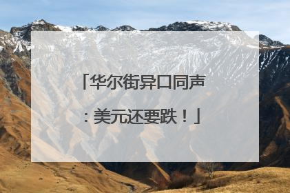 华尔街异口同声：美元还要跌！