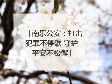 南乐公安：打击犯罪不停歇 守护平安不松懈
