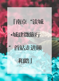 南京“读城•城建微旅行”首站走进颐和路