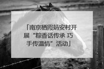 南京栖霞靖安村开展“粽香话传承 巧手传温情”活动