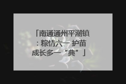 南通通州平潮镇：粽情六一 护苗成长多一“典”