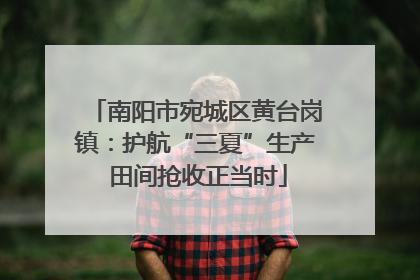 南阳市宛城区黄台岗镇：护航“三夏”生产 田间抢收正当时