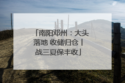 南阳邓州：大头落地 收储归仓丨战三夏保丰收
