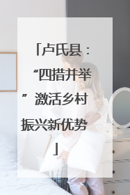 卢氏县：“四措并举”激活乡村振兴新优势