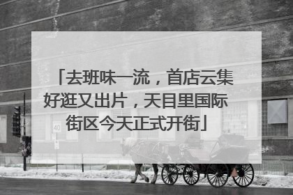 去班味一流，首店云集好逛又出片，天目里国际街区今天正式开街
