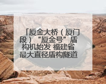 厦金大桥（厦门段）“厦金号”盾构机始发 福建省最大直径盾构隧道正式掘进
