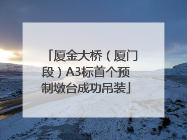 厦金大桥（厦门段）A3标首个预制墩台成功吊装