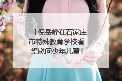 倪岳峰在石家庄市特殊教育学校看望慰问少年儿童