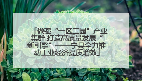 做强“一区三园”产业集群 打造高质量发展“新引擎”——宁县全力推动工业经济提质增效