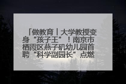 做教育︱大学教授变身“孩子王”！南京市栖霞区燕子矶幼儿园首聘“科学副园长”点燃萌娃科学梦