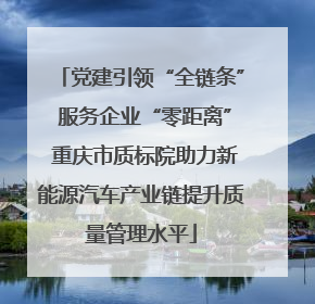 党建引领“全链条” 服务企业“零距离” 重庆市质标院助力新能源汽车产业链提升质量管理水平