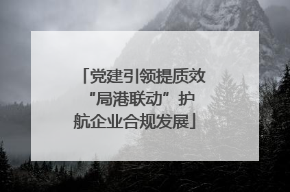 党建引领提质效 “局港联动”护航企业合规发展