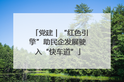 党建｜“红色引擎”助民企发展驶入“快车道”