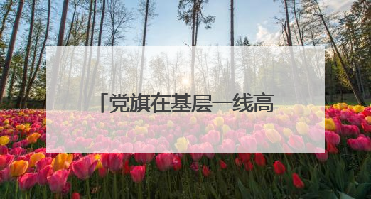 党旗在基层一线高高飘扬｜北京石景山区八角中里社区党委：用脚步丈量民生